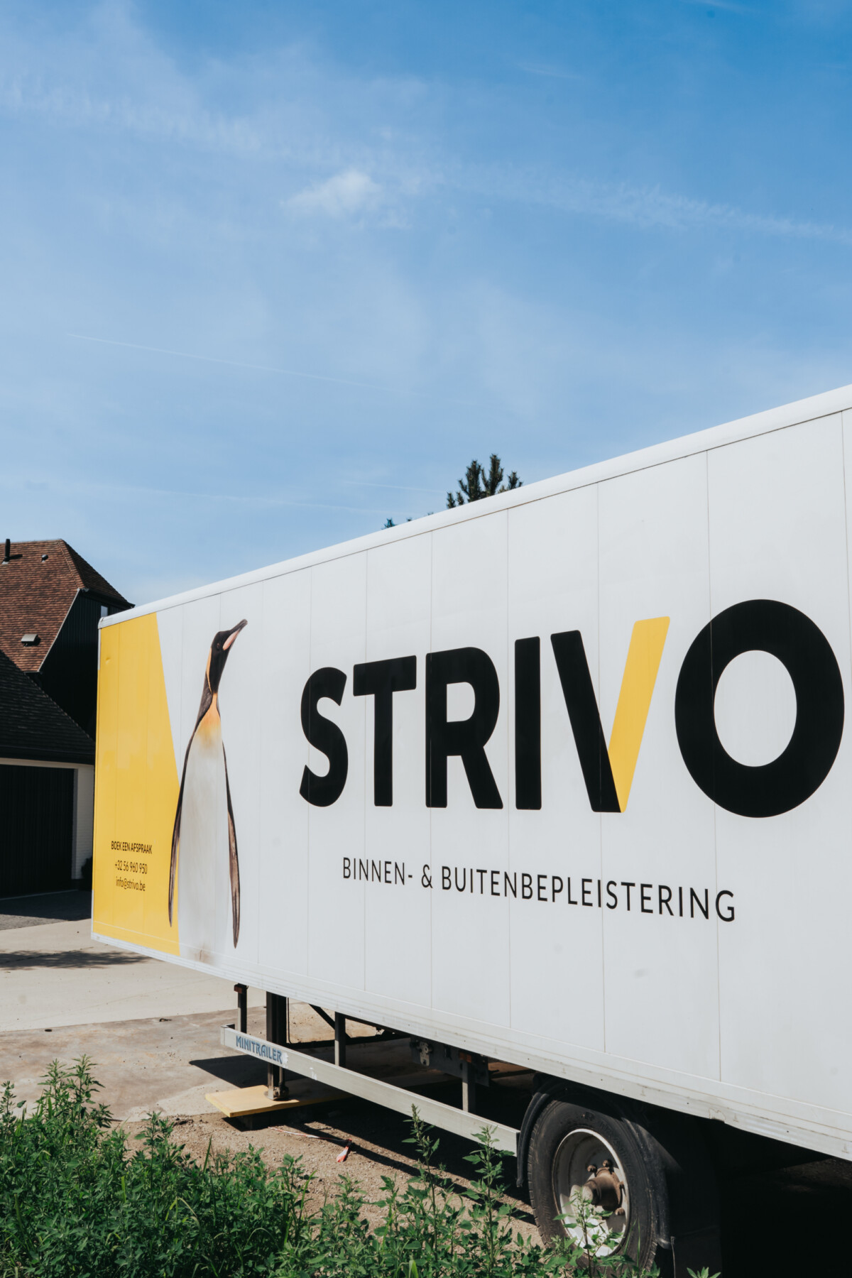 STRIVO 72